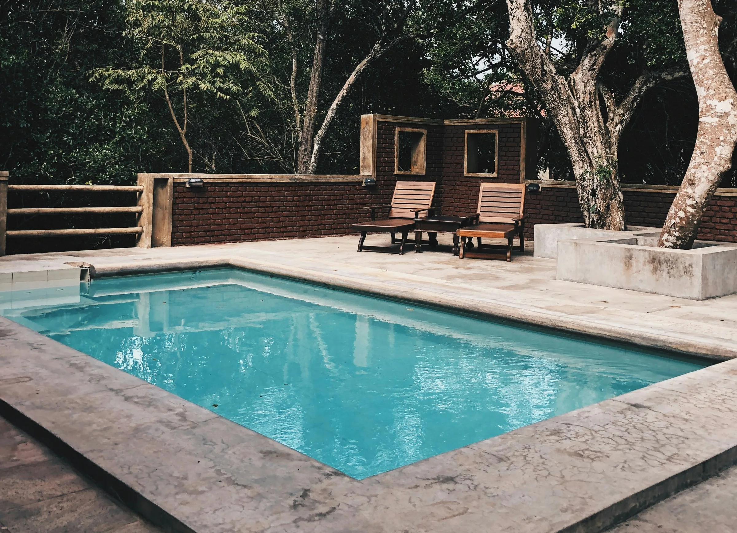 Compact inground pool in a small backyard